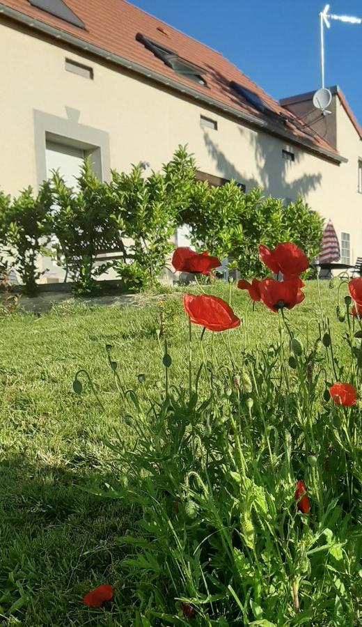 Le Feneau Maison D'Hotes Creuzier-le-Neuf Eksteriør billede
